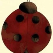 Foto von Ladybird Pestcontrol