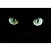 Tabatha Cherry's photo