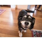 Christine Trask's photo