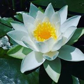 Katelyn Vallier's photo