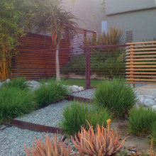 BACK wall or yard