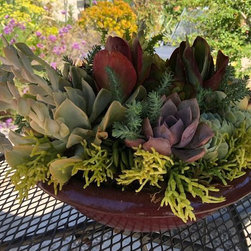 SUCCULENTS - POTS & WALLS - Outdoor Products