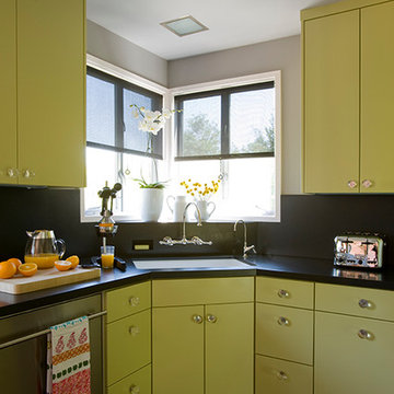 Silver Lake Mid Century Traditional