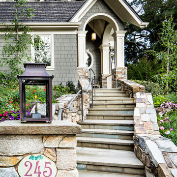 Los Gatos Storybook
