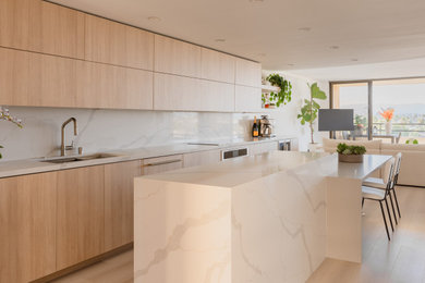 Example of a minimalist kitchen design in Los Angeles
