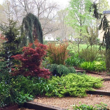 Front stroll garden, April, 2016