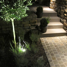 Landscape Ideas