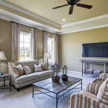 Ceiling fan