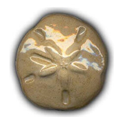 3" Large Sand Dollar - Mosaic Tile
