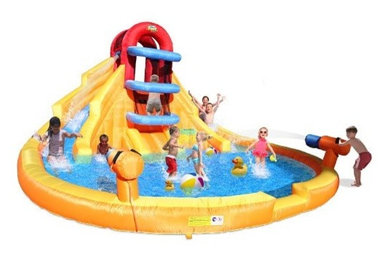 Wet and Wild Jumping Castle with Slide