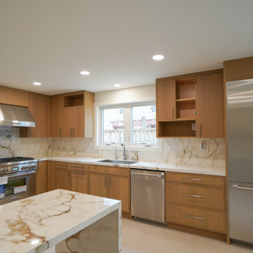 Alameda -Whole House Renovation