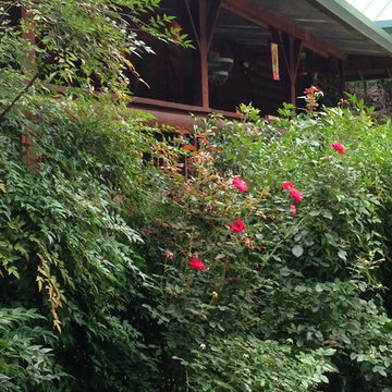 Log Home