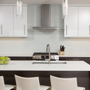 Contemporary Kitchen Remodel