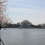 Joan Baird's photo
