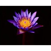 Jackie Larsen's photo