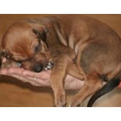 Tara Ragatz's photo