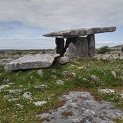 Toni Thomas's photo