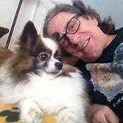 Gary Lewis's photo