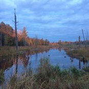 Steven Weiner's photo