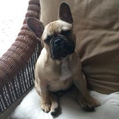 Sandy's photo