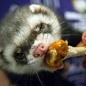 Kathy Fritz's photo