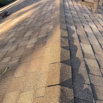 West Hills Shingle Roof Project