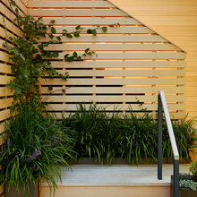 Privacy Fence