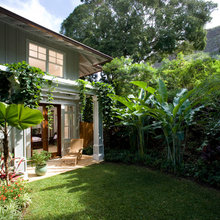 Privacy Landscaping