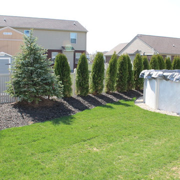 Complete Backyard Transformation