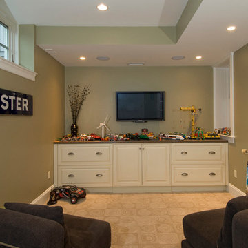 The Potentials of a Basement