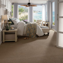 carpet