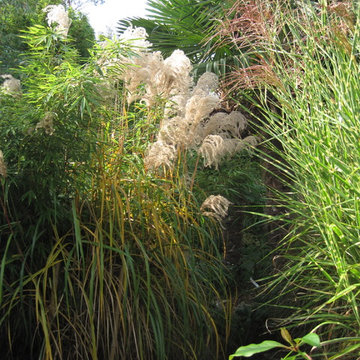 Jardin contemporain - Création et aménagement du jardin d'Arnaud et Sylvie