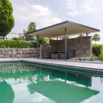 Natur-Pool auf dem Land