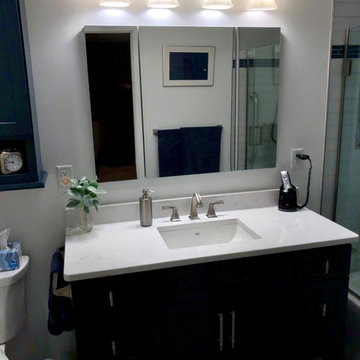 Cordova IL Master Bath Remodel Dura Supreme Hudson Gale Force Cambria Swanbridge