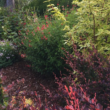 Front Yard Makeover Los Altos