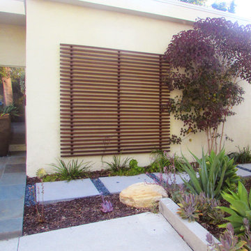 Hilltop Modern