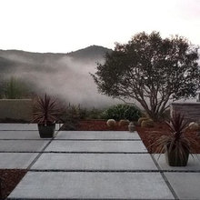 Landscape Ideas