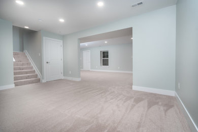 Basement - large contemporary walk-out carpeted and beige floor basement idea in DC Metro with green walls