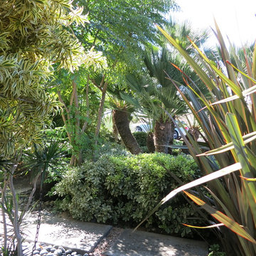Tropical Zen