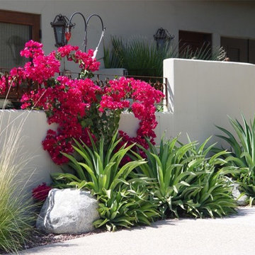 Tropical Landscape Design Ideas