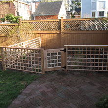dog run