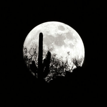 Fine Art Photograph, Moonrise in May I, Fine Art Paper Giclee