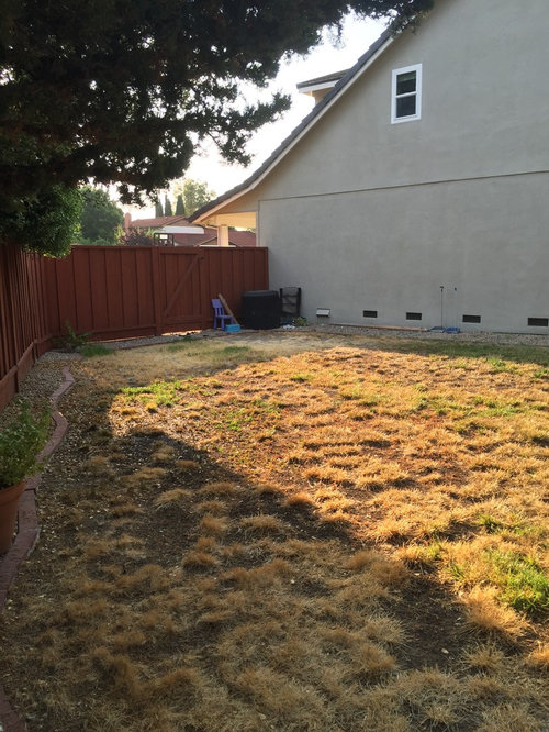 Please help design our backyard