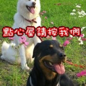 拿鐵冰's photo