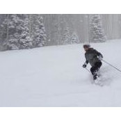 Jill Wheeler's photo