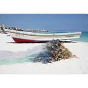 Steve Bliss's photo