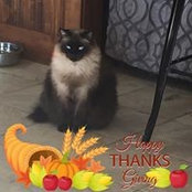 Joann Sasso's photo