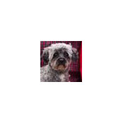 Chris M.'s photo