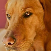 Amy Knutson's photo