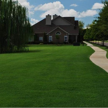 Our Past Work